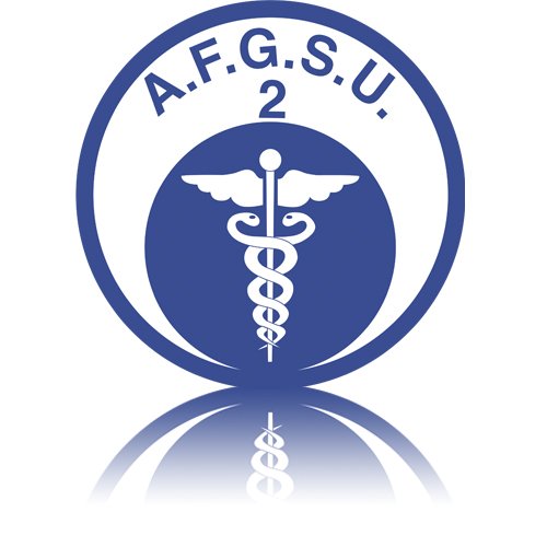 Attestation de Formation aux Gestes et Soins d’Urgence – Niveau 2 (AFGSU 2)