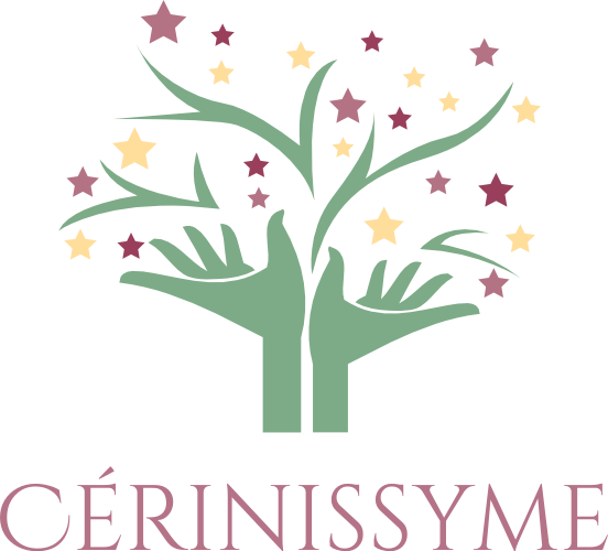 Logo de CERINISSYME