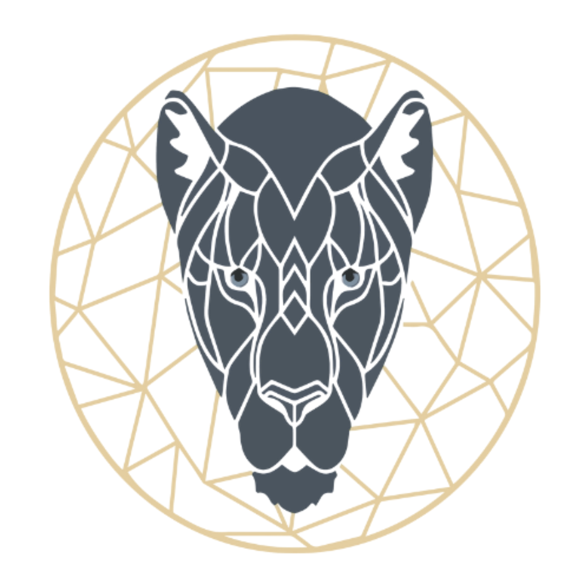 Logo de E.I Le Cabinet d'Aurore (Aurore Colas)